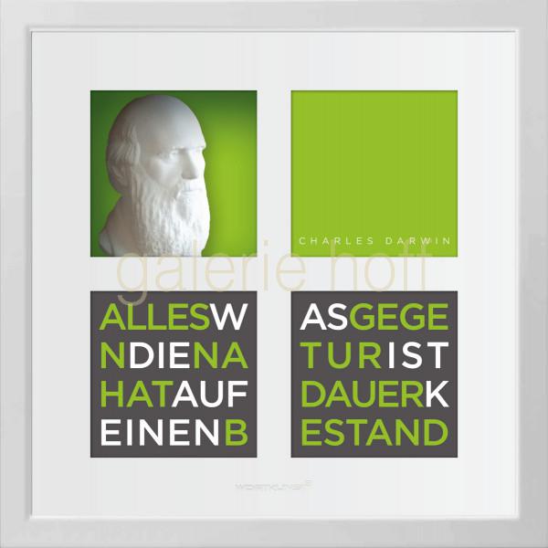 Wortkunst R. Birkelbach - Charles Darwin