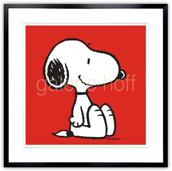 Schulz, Charles M. / Peanuts - Snoopy Red - gerahmt